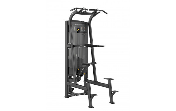 Подтягивание\Отжимание с помощью, стек 117,5кг Smith Fitness RE8008 600_380