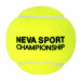 Мяч для большого тенниса Neva NS Championship 3B 124001 желтый 75_75