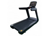 Беговая дорожка CardioPower Pro CT300