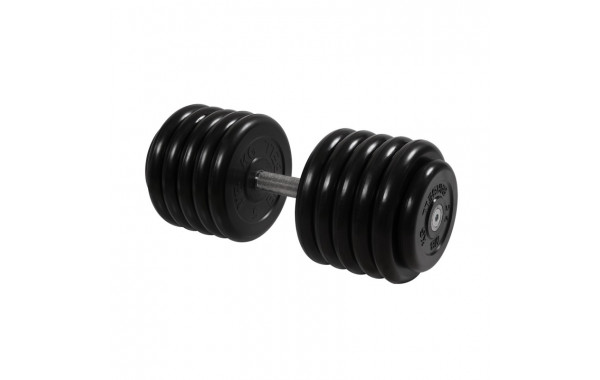 Гантель Профи, 56 кг MB Barbell MB-FdbM-B56 600_380