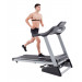 Беговая дорожка Spirit Fitness XT285 75_75