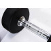 Гантели в уретане 2 кг Live Pro Studio Dumbbells LP8075-02 75_75