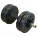 Гантель сборная 5 кг Lite Weights 3101CD 1шт 75_75