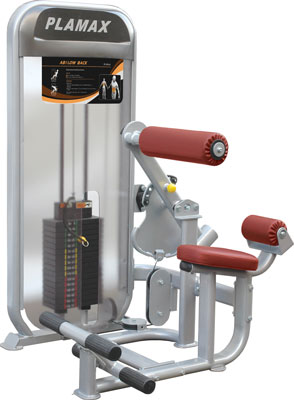 Пресс/разгибание спины Impulse PL9024 294_400