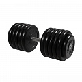 Гантель Профи, 56 кг MB Barbell MB-FdbM-B56 120_120